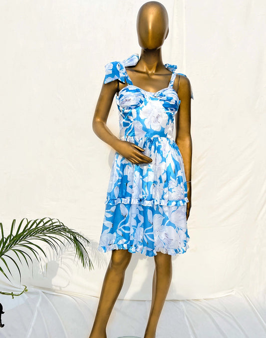 Blue Daisy Short Dress